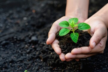 Embracing social responsibility in the spring, nurturing green life for a positive change