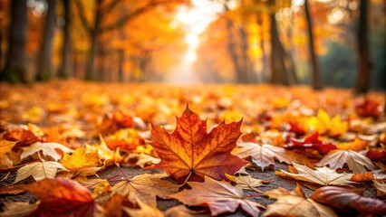 Autumn leaves scattered on the ground , foliage, seasonal, fall, nature, orange, yellow, red, colorful, texture, outdoors