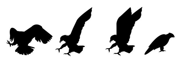 collection of eagle silhouettes. animal. vector illustration.