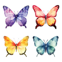 watercolor painting of butterfly four collection isolated