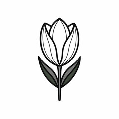 Tulip isolated on white, tulip vector illustration, tulip vector art, tulip silhouette, flowers icon, rose line art, eps