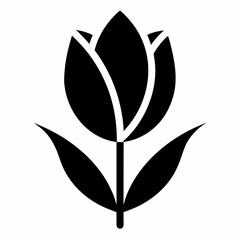 Tulip isolated on white, tulip vector illustration, tulip vector art, tulip silhouette, flowers icon, rose line art, eps