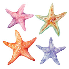 watercolor painting of starfish four collection isolated