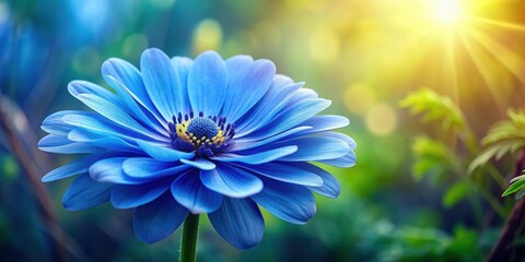 Obraz premium Blue flower in full bloom with delicate petals and vibrant color, blue, flower, bloom, delicate, petals, vibrant, color, nature
