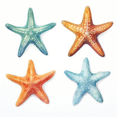 watercolor painting of starfish four collection isolated