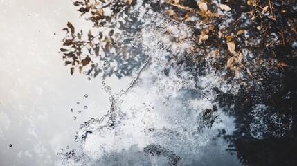 Obraz premium A serene reflection of nature on water's surface with leaves creating a calm and tranquil scene for peaceful moments.