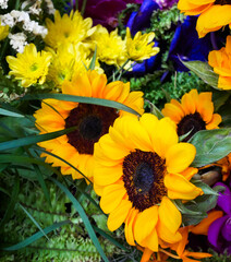 Beauty yellow sunflower in bouquet set.