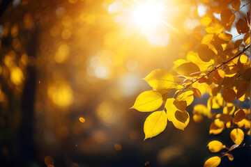 Beautiful blurred autumn background with yellow-gold leaves in the rays of sunlight on a dark natural background.
