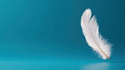 Obraz premium Single white feather floating in mid-air, symbolizing hope.