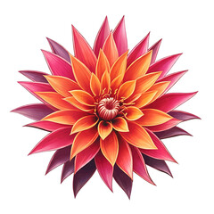 Fototapeta premium Large Colorful Exotic Tropical Flower Illustration. png isolated background. transparent background