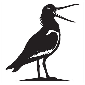 recommend clip art: American Oystercatcher Silhouette, Pied Oystercatcher Bird Clipart, American Oystercatcher calling illustration in black and white