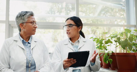 Collaboration science and women with tablet, plants and agriculture for medical pharmaceuticals. People, employees and researchers with tech, nature and digital app for gmo results and connection