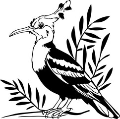 Eurasian Hoopoe or Common hoopoe vector illustration. © Prosun Design