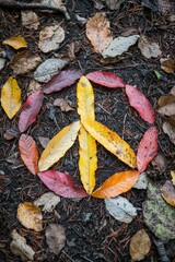 A peace symbol formed by colorful autumn leaves, carefully laid out on a forest floor The scene is peaceful and serene, Generative AI