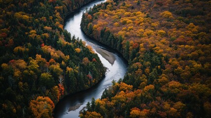 Serene River Winding Through Autumn Forest