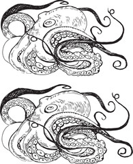 Black and white line drawing octopus. Detailed graphics drawing pattern design element underwater animal. Clip art asian seafood restaurant menu character childrens coloring book dotwork tattoo sketch