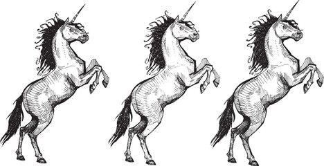 Vector line drawing unicorn clip art sketch illustration cartoon character realistic fabulous animal hand drawn engraving horse coloring modern design girl princess theme card black and white graphic © an