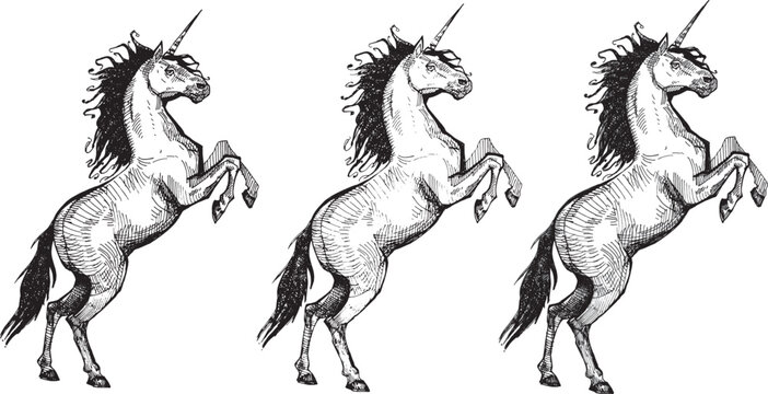 Vector line drawing unicorn clip art sketch illustration cartoon character realistic fabulous animal hand drawn engraving horse coloring modern design girl princess theme card black and white graphic