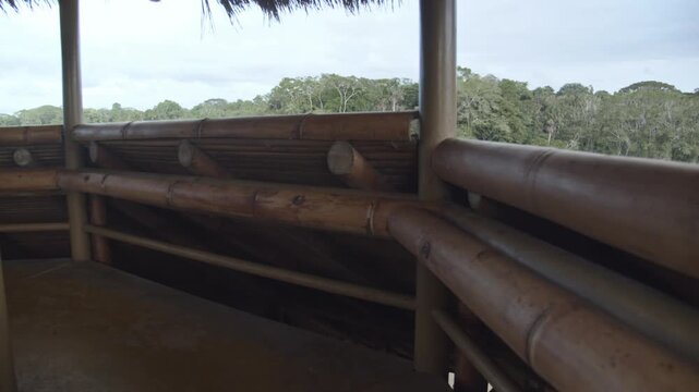Walking to the roof of an ecolodge in the amazon rainforest to look for animals