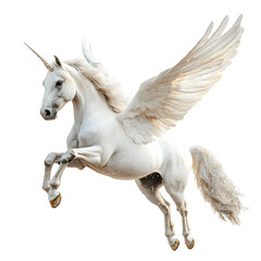 Fototapeta premium Stardust Pegasus Floating on Plain White Background Transparent PNG 