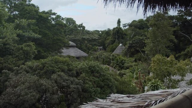 Watching cabins from the balcony of an expensive eco lodge in the amazon rainforest