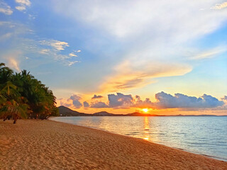 Sea sunrise, ocean sunset, tropical island sand beach, coconut palm tree leaves, soft color yellow blue sky clouds background, golden sun reflection on water, peaceful dawn landscape, summer holidays