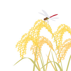 稲穂と赤トンボのイラスト © sozai-koyomi