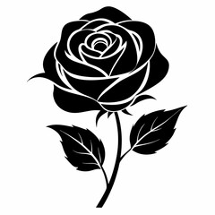 Rose Black illustration, silhouette