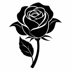 Rose Black illustration, silhouette