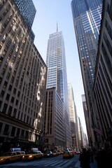 Fototapeta premium New York City Skyline