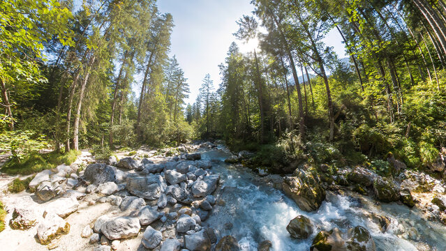 erchtesgaden Zauberwald wild creek water flow with surrounding summer forest scene