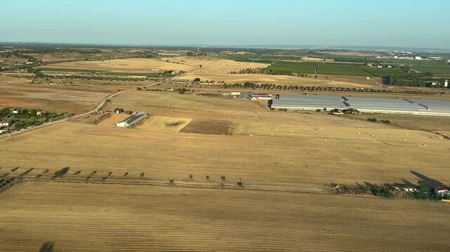 Shadow of a jet airplane over agriculture fields approaching to the runway to land. Shot early in the morning. 4K 60FPS
