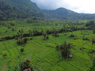 Aerial view of Sidemen Rice Terrace in Sidemen, Karangasem, Bali, Indonesia