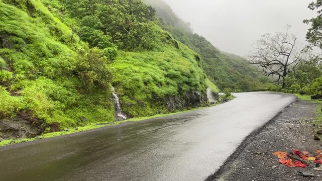 Beautiful road through Kumbharli ghat with waterfall besides the road in Konkan during the monsoons in Maharashtra, India.