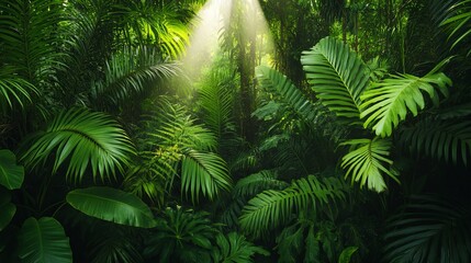 Lush tropical forest with vibrant green foliage and sunlight filtering through the trees, creating a serene nature scene.