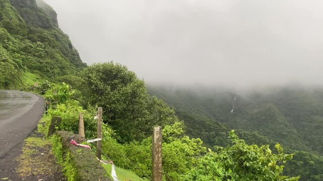 Road through dense forest at Kumbharli ghat in Konkan during the monsoons in Maharashtra, India.