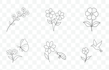 Print Creeping Phlox Flower Line Art Vector Set with Detailed and Elegant Floral Illustrations