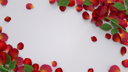 Red Roses and petals on white background