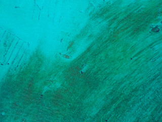 green-blue sea texture
