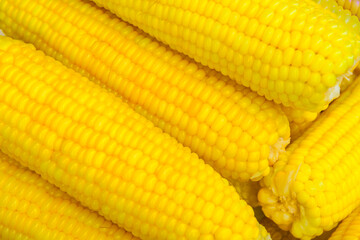 Background of boiled sweet corn