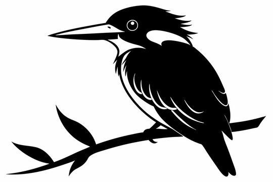 recommend clip art: kingfisher sitting on a branch silhouette vector illustration.
