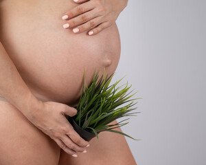 Faceless pregnant woman holding a plant. Metaphor for epilation of the bikini area. 