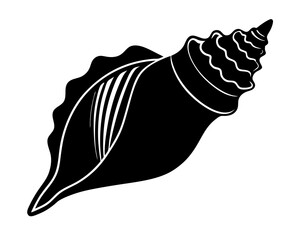 Conch icon design silhouette vector art illustration