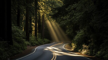 Fototapeta premium Sunlight Through Trees on Winding Road