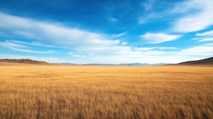 Vast Expanse of Golden Grassland under a Blue Sky