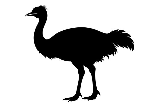 recommend clip art: Beautiful bird emu silhouette black icon vector art illustration