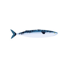Vector illustration of fresh mackerel ocean fish on white. For menu, label, recipe, product packaging. Oceanfood design element. For action promotion and advertising, mockup. EPS 10