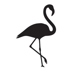 Vector illustration of flamingo in outline style is isolated on white background. Black silhouette of tropical bird flamingo standing on one leg .Cranes, Egrets, and Flamingoes