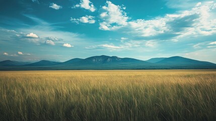 Fototapeta premium Tranquil Grassland Under Expansive Sky