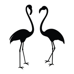 Vector illustration of flamingo in outline style is isolated on white background. Black silhouette of tropical bird flamingo standing on one leg .Cranes, Egrets, and Flamingoes